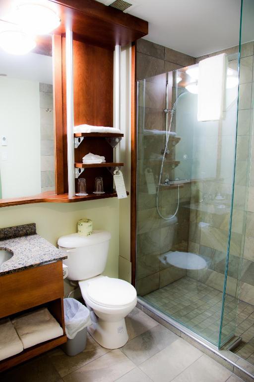 Hôtel&suites Le Dauphin Hotel 3*